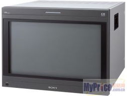 Sony BVM-D32E1WE 專業(yè)監(jiān)視器在安防監(jiān)控領(lǐng)域的應用與總覽